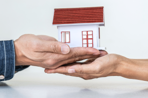 Jak odrolnić/odlesić działkę pod budowę domu?