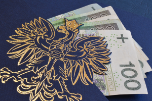 Jaki projekt wybrać? Projekt z katalogu czy indywidualny?