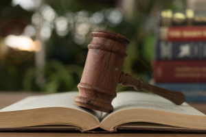 Jak negocjować zakup działki?